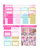 Load image into Gallery viewer, Birthday Bash  - Printable Weekly Kit
